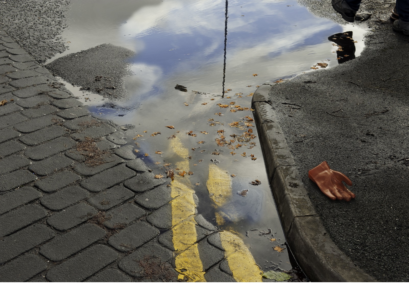 SAWS - Autumn (1) (photo by Gavin Parry)